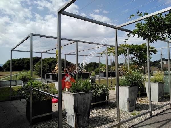 Fondation Donatella Mauri