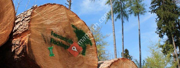 Forstbetrieb Fischingen-Tobel