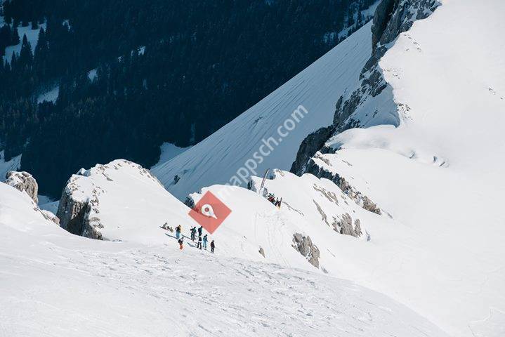 Freeridedays.ch Diablerets-Gstaad