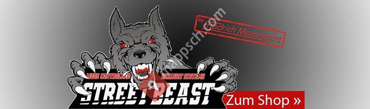 Friedrich Motorsport Schweiz