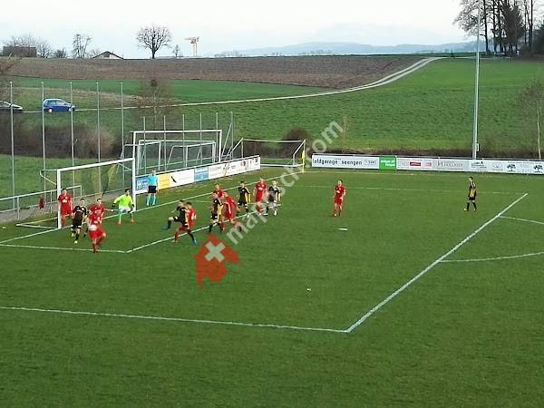 Fussballplatz Seengen