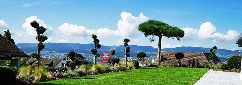 Gärten Armin Hollenstein