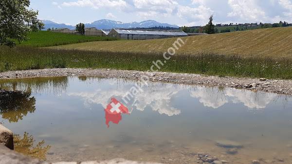Gärtnerei Homatt AG, Bio Gartencenter Ruswil