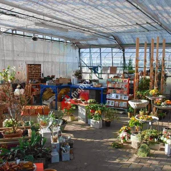 Gärtnerei Leonotis Hauert + Balmer AG