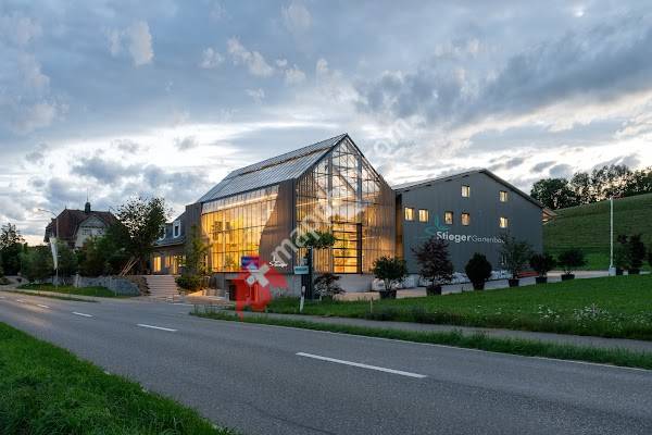 Gartenbau Markus Stieger AG