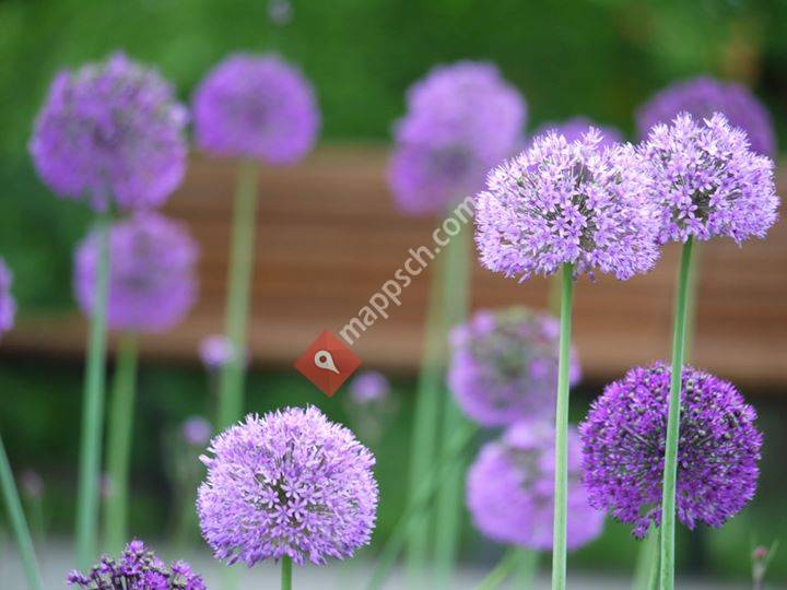 Gartenbau Schneebeli