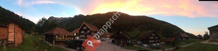 Gasthaus Alpenrose Plona