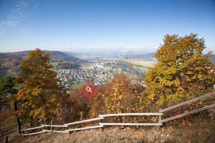 Gemeinderat Rekingen