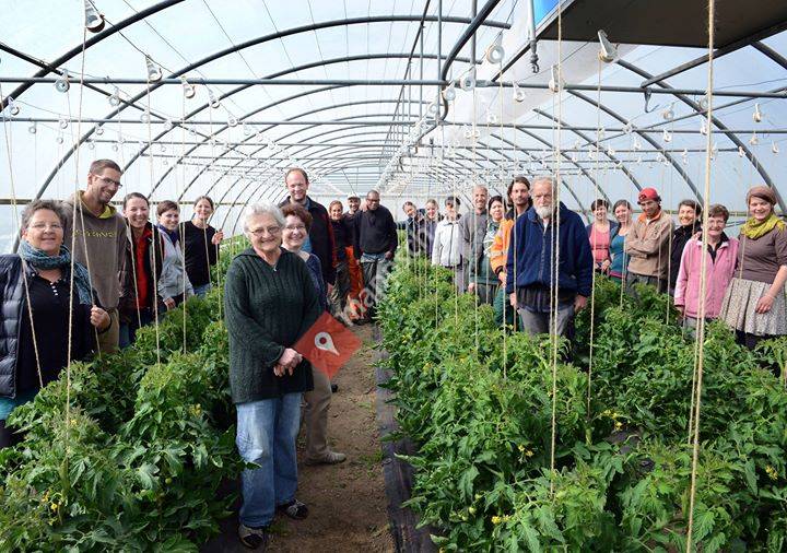 Gfeller maraîcher bio