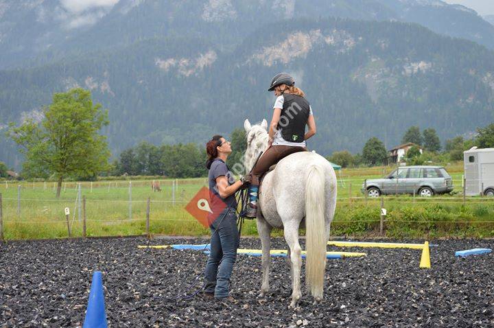 Gina Henny Mit Pferden tanzen