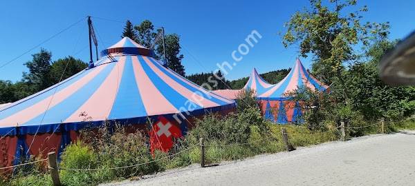 Gossau SG, Walter Zoo