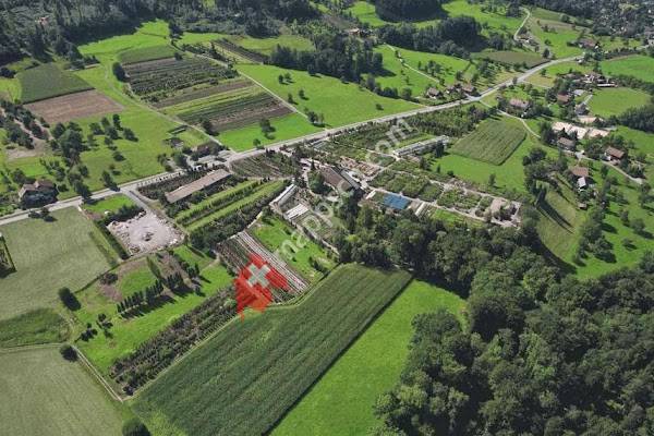 Hämmig Baumschule AG