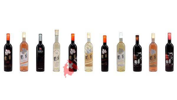 Hans Bayard Soleil de Varone GmbH