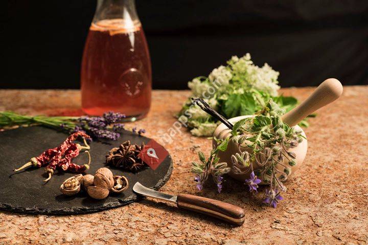 Heilpflanzenwerkstatt.ch