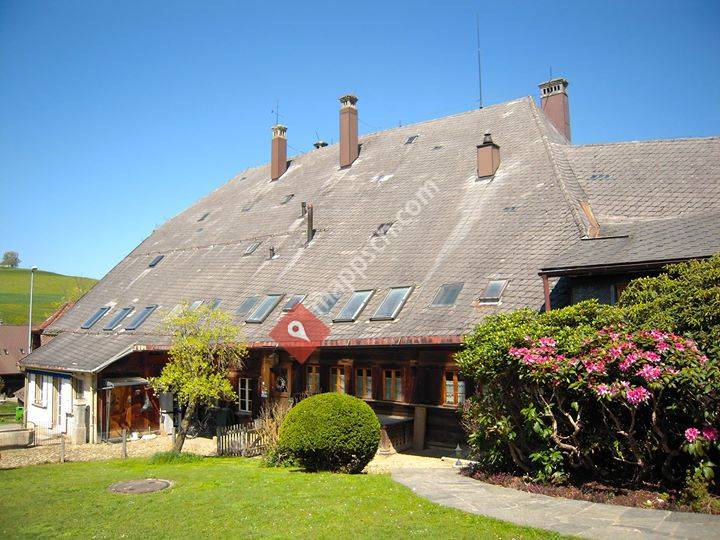 Hundepension Dangelihus