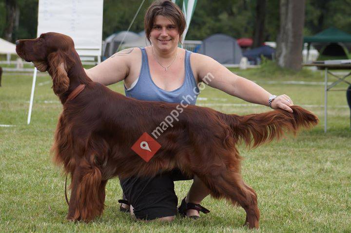 Hundesalon Happy Dog