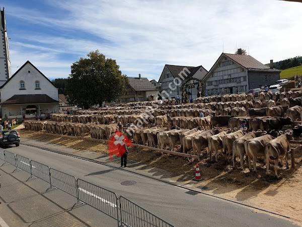 Institution Hölzli AG