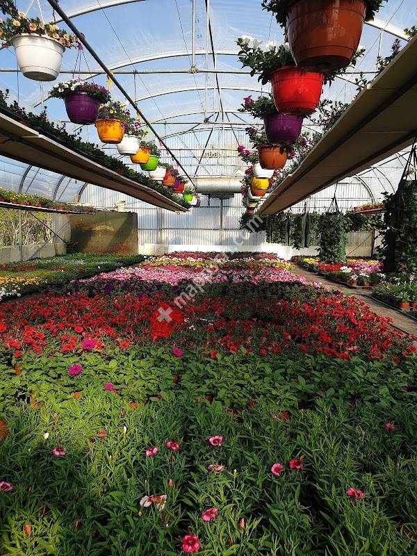 Jean-Philippe + Fabienne Challandes