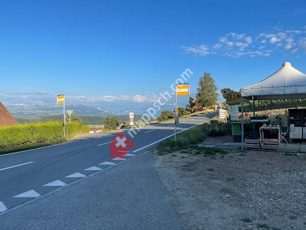 Kirchenthurnen, Mösli