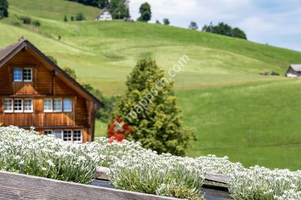 Kräuter Schopf GmbH