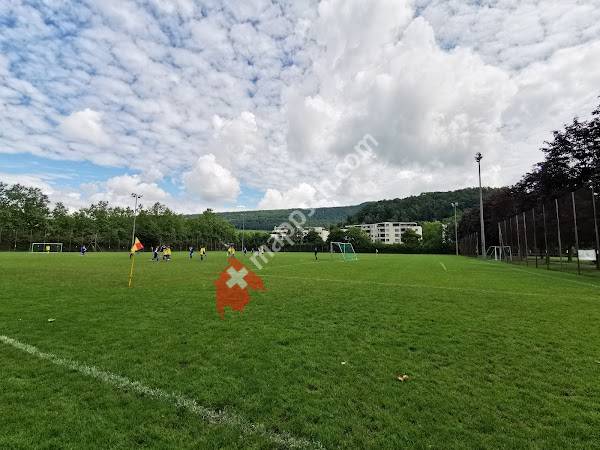 Kreuzzelg, Wettingen