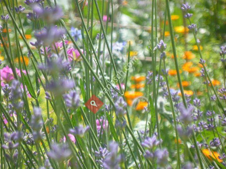 kybernetes.jimdo.com