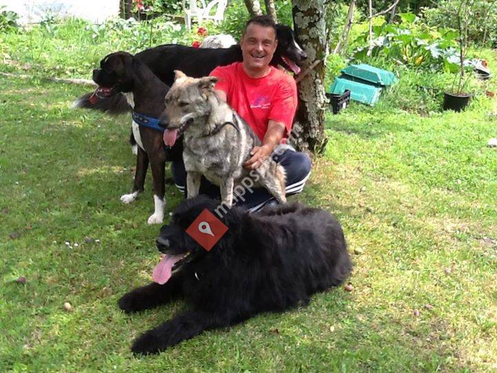 La casa del Cane - Pensione privata per cani