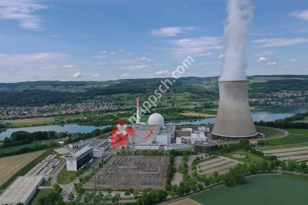 Leibstadt, Kernkraftwerk