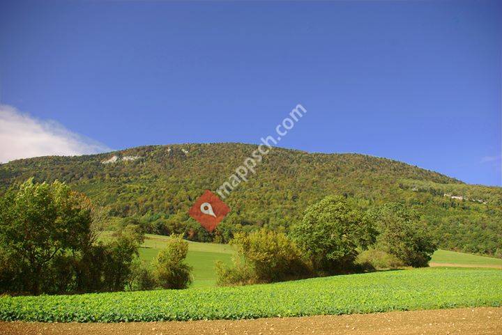 Les Amis du Mont Aubert