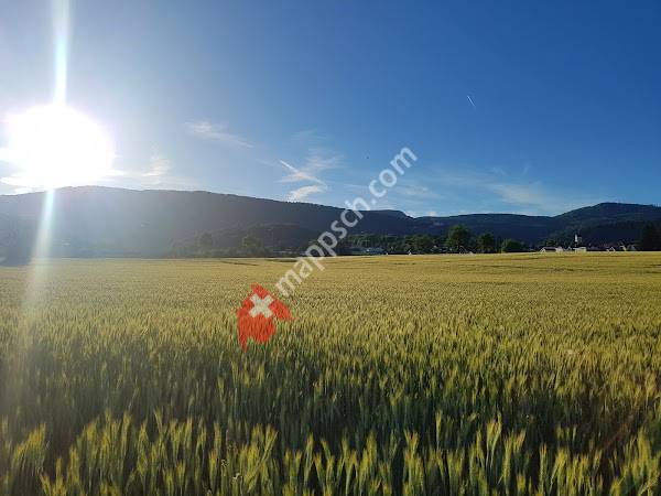 Lostorf, Kreisschule