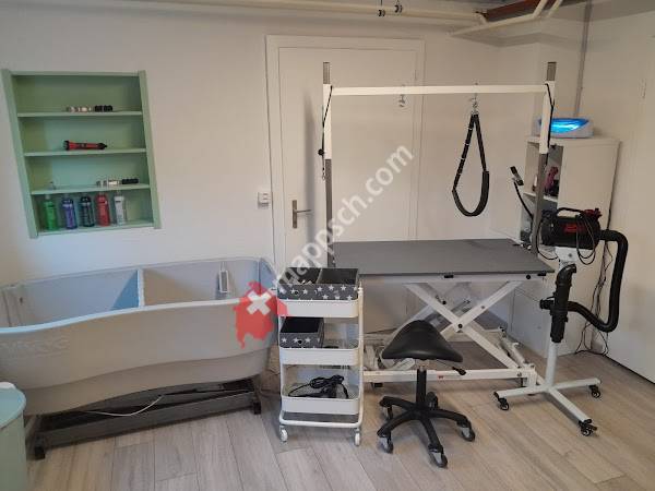 Lupis Hundesalon & Shop