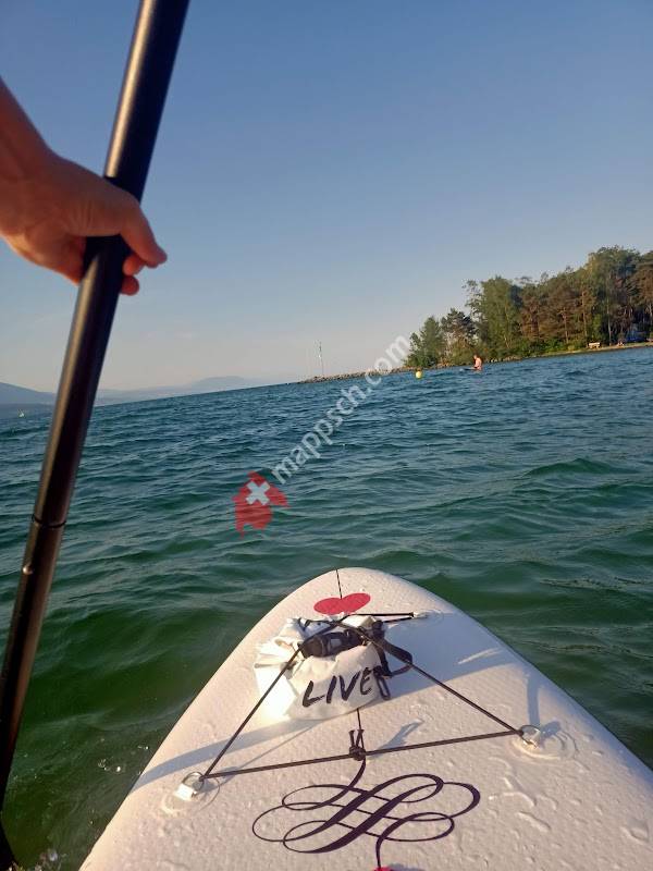 Magasin du Camping VD8