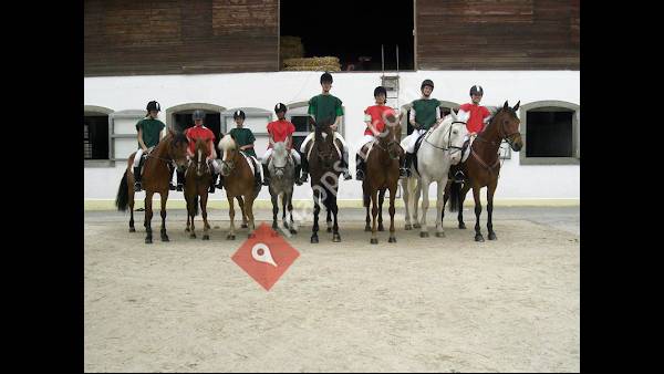 Manège de Meyrin Sàrl