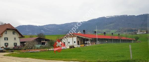 Matzendorf, Horngraben