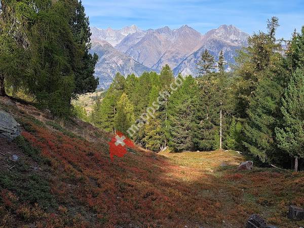 Moosalp Tourismus AG