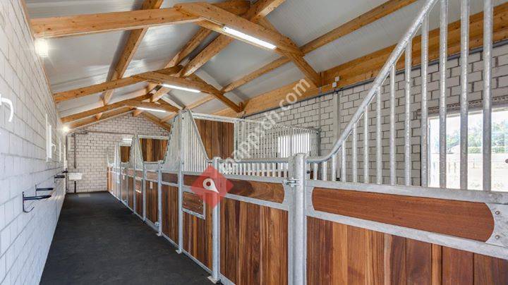 MTB Pferdeland - Pferdepension