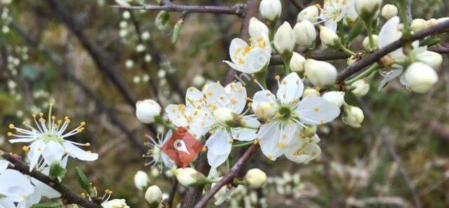 Muota-Praxis Luzia Rickenbacher