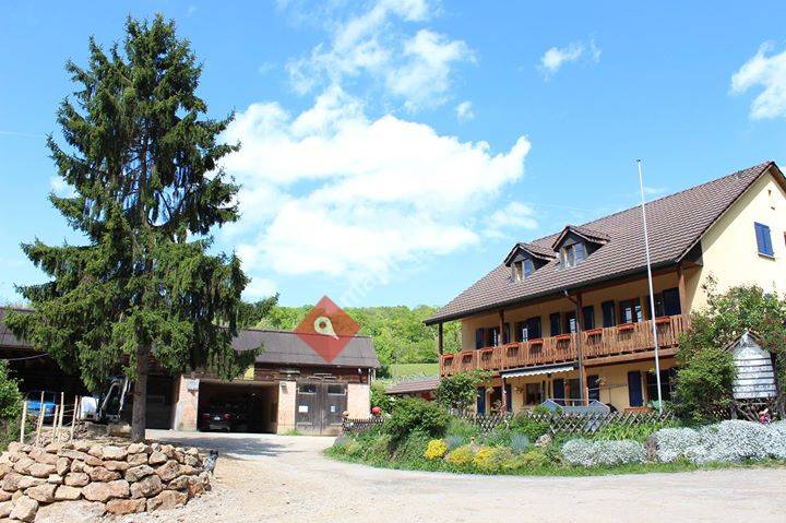 Obst & Weinbau Kaufmann