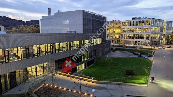 Organisation und Informatik