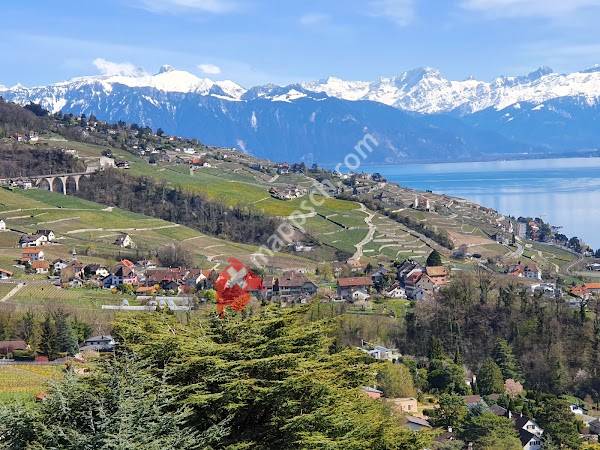 Parc des Marionnettes