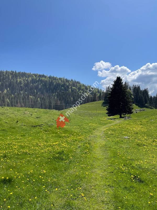 Parking de la Givrine