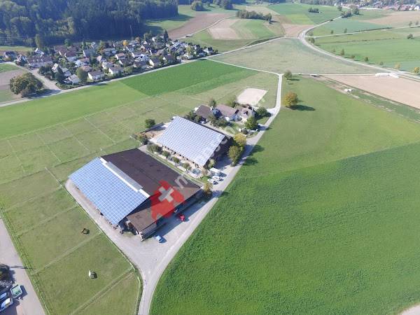 Pensionsstall Wydenbuck