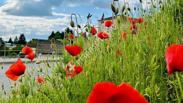 Résidence Les Crêtes SA