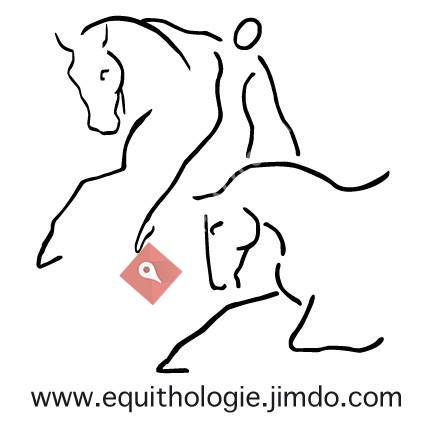 Rando.equilibre/equi.éthologie