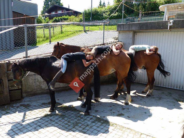 Reitbetrieb Schwendihof