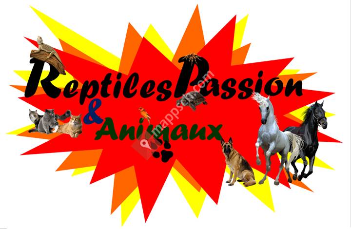 ReptilesPassion & Animaux