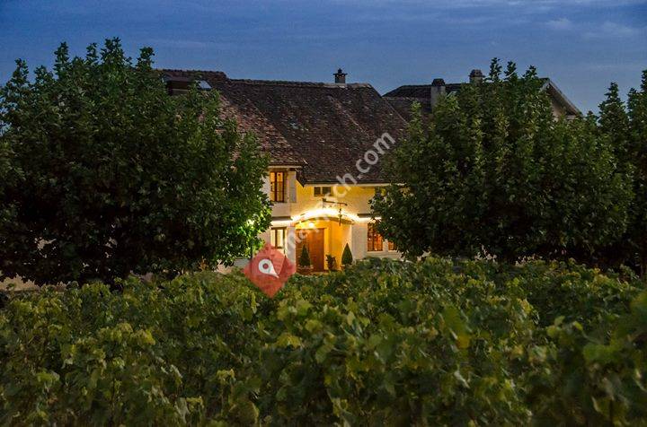 Restaurant Au Coeur de La Côte, Vinzel, Suisse