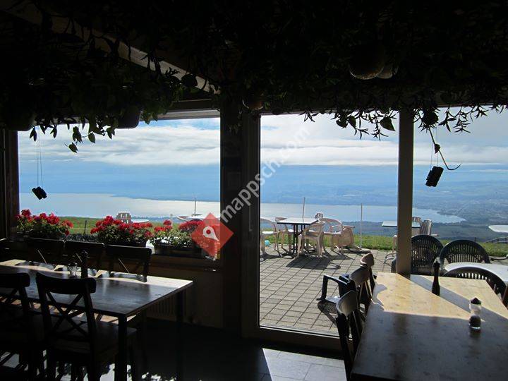 Restaurant Paral'aile café