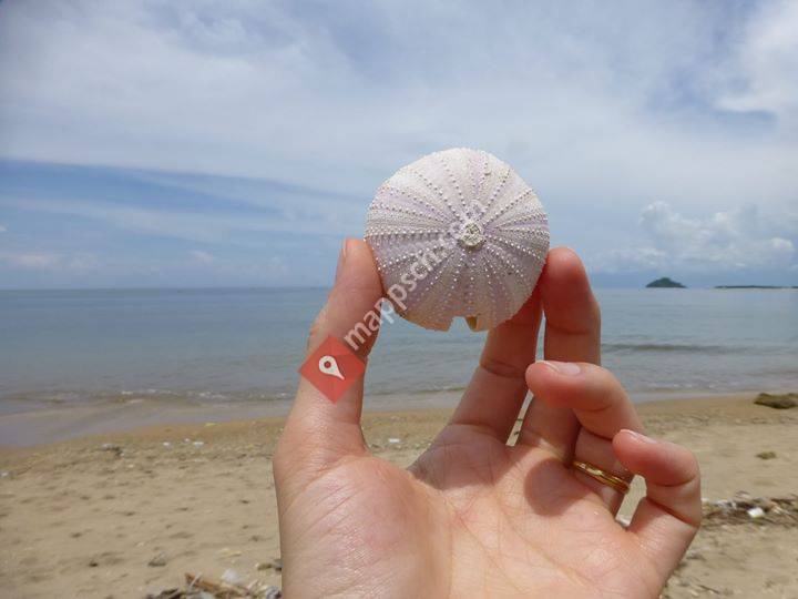 ROTH ACADEMY OF ART - Sarah ROTH