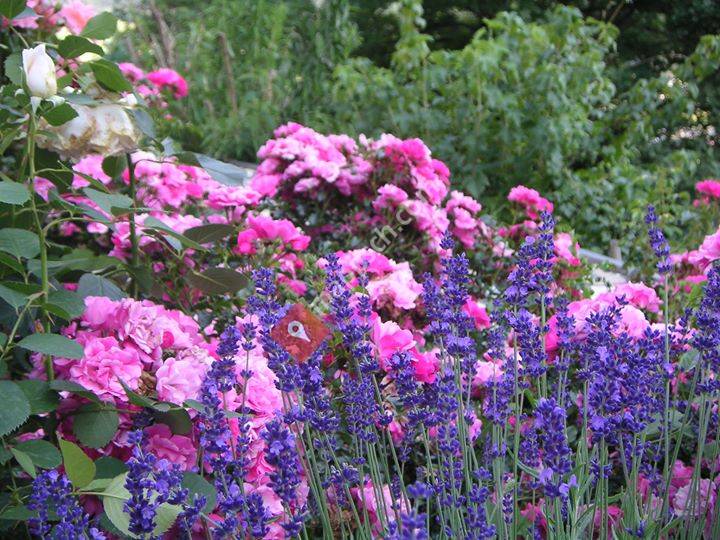 Saldos Gesundheitspraxis